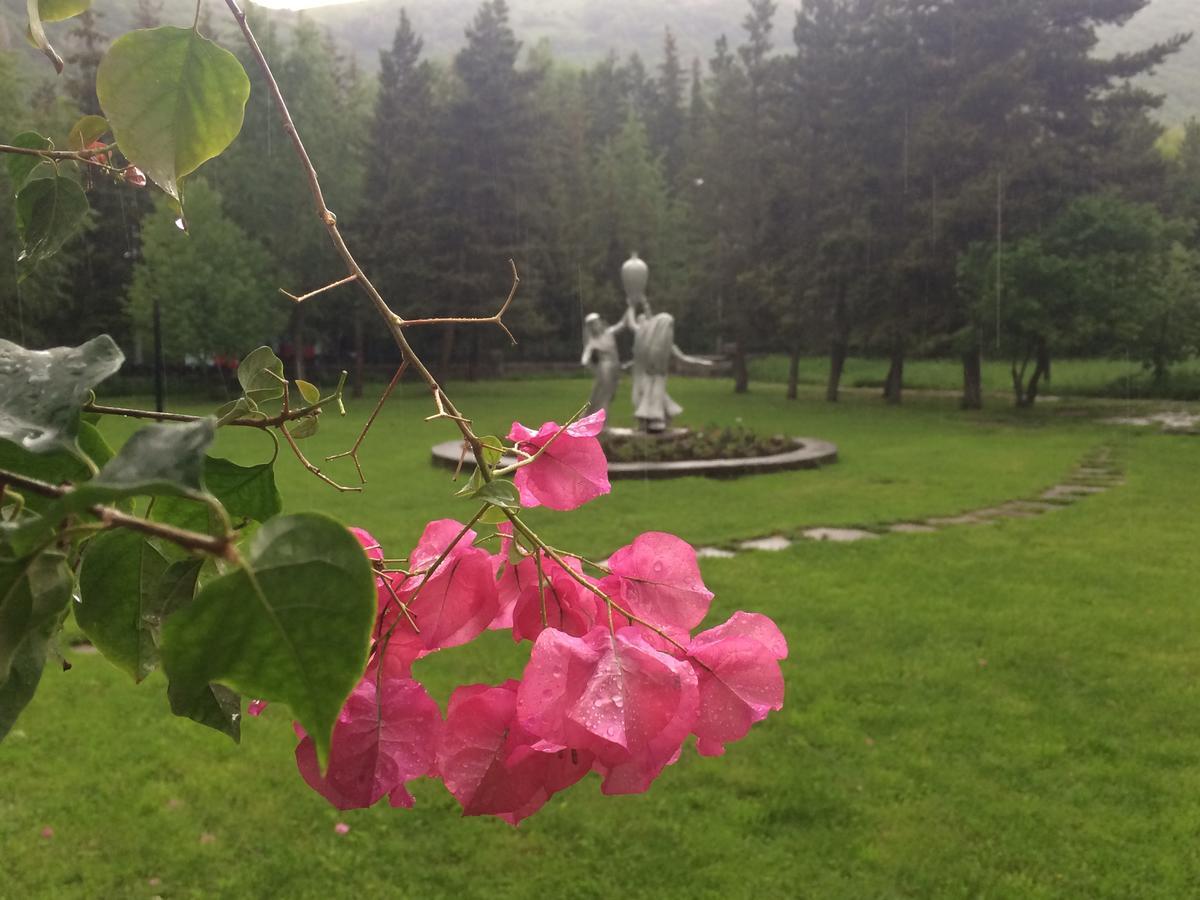 Jermuk Olympia Sanatorium Hotel Bagian luar foto